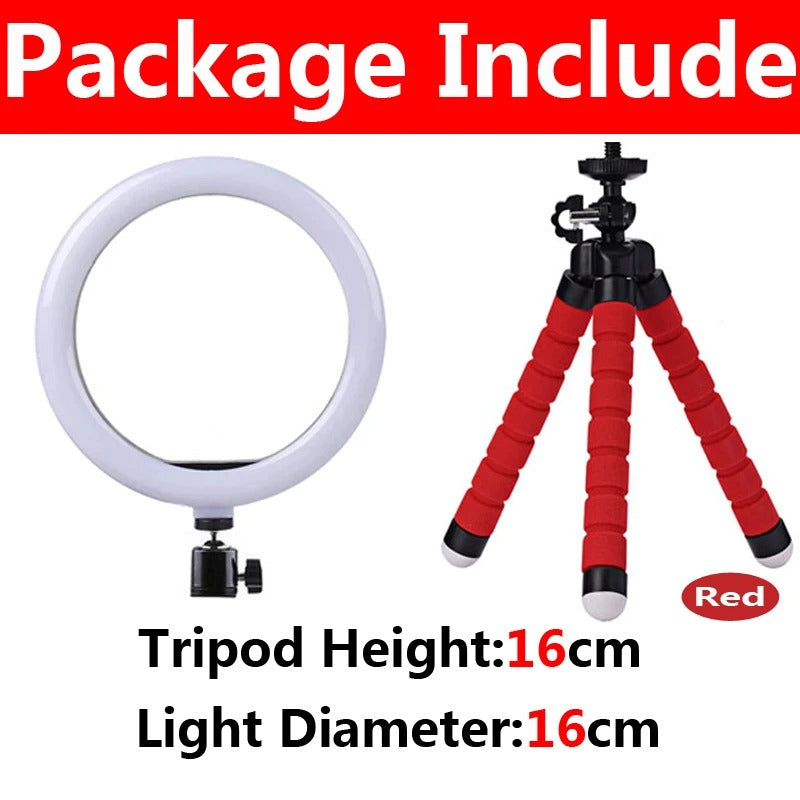 Lumière vidéo 26cm Selfie LED anneau lumineux réglable anneau rond lampe de remplissage avec support trépieds jante de lumière pour Tiktok maquillage Ringlight